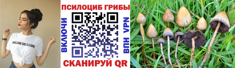 Галлюциногенные грибы прущие грибы  Лагань 